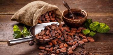El cacao, eje del Primer Festival de Cultura Alimentaria