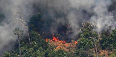 Brasil despliega 44 mil soldados para luchar contra el fuego en la Amazonia