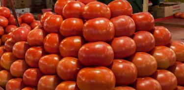 Arancel de EU “desangra” a industria mexicana del tomate