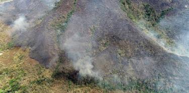 Incendios en Amazonas se cuadruplicaron este año expertos europeos