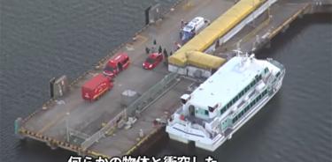 Barco choca contra una ballena en Japón; hay 80 heridos