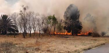 Incendio en Parque Ecológico de Xochimilco afectó a 40 hectáreas