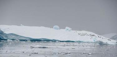 La capa de hielo de la Antártida se adelgazó 122 metros: estudio