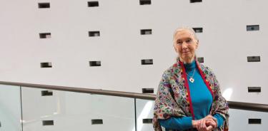 “El hombre perdió su sabiduría”: Jane Goodall