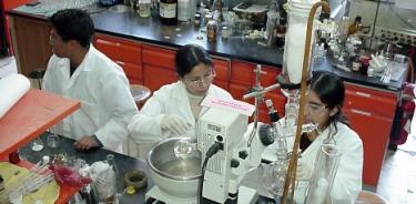 UNAM desarrolla polímeros para suministrar fármacos