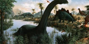 Declive de dinosaurios empezó antes del impacto de asteroide