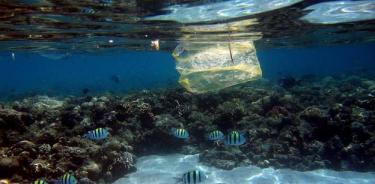 Más de 3.700 toneladas de plásticos flotan en el Mediterráneo