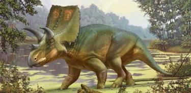 El dinosaurio cornudo de Ted Turner es una nueva especie