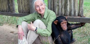 Jane Goodall participará en la FIL de Guadalajara.
