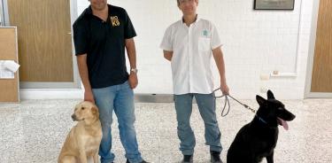 Los perros son capaces de detectar en cuestión de segundos si una persona tiene COVID-19, dice Vidal Martínez.
