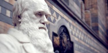 Escultura de Charles Darwin en el Museo de Historia Natural de Londres.