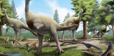 Dinosaurios terodopodos.