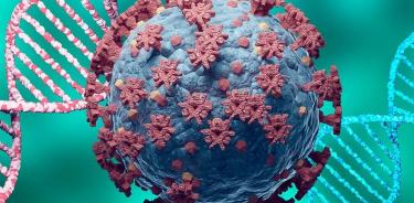 Los coronavirus y otros virus son expertos en recombinación genética, señala José Campillo.
