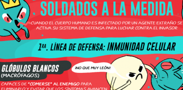 Fragmento de infografía.