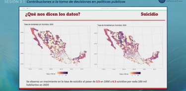 El nuevo proyecto permite visualizar cambios en las tasas de suicidio en México, por estado, municipio y localidad.