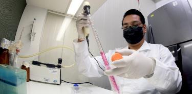 El Laboratorio de Medicina Experimental y Carcinogénesis de la UAM-I es pionero a nivel mundial en estudios sobre GDF11.