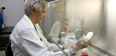 La doctora Mónica Lamas, que encabeza la investigación con células madre para regeneración de retina, también ha sido formadora de generaciones de investigadores.