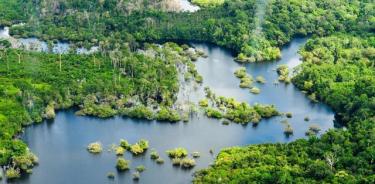 Vista aérea de la selva amazónica, cerca de Manaus.