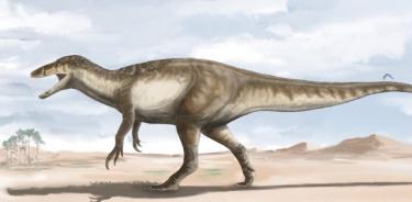 Aspecto del megarraptor gigante Maip.