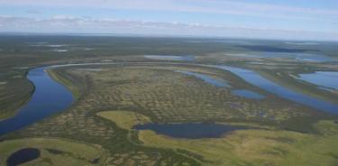Foto aérea del bosque abierto del norte en la península de Taymyr, Siberia.