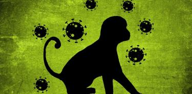 La viruela del mono es una enfermedad infecciosa rara que se propaga entre especies, incluso de animales a humanos