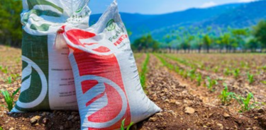 La diversidad de suelos que hay en México requiere diferentes tipos de fertilizantes agrícolas, orgánicos o minerales.