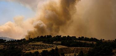 El incendio en el paraue nacional de Dadia, en Evros, norte de Grecia, este domingo 24 de julio de 2022.