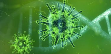 el Henipavirus es una de las principales causas emergentes del salto de enfermedades animales a humanos