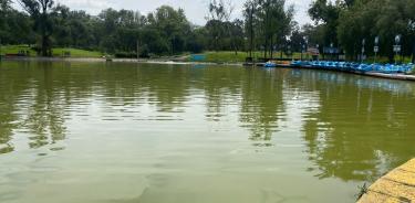 Vecinos denuncian que el lago del parque Tezozómoc está contaminado desde hace varios meses.