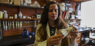 22.- La investigadora Pilar Núñez trabaja con una muestra en su laboratorio.