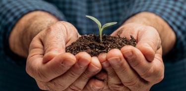 Las comunidades rurales, urbanas, comunidad científica y tomadores de decisiones trabajamos en diseñar e implementar paisajes sustentables que favorezcan la producción de alimentos y energía, mientras se disminuyen los impactos negativos sobre la salud del hombre y el medio ambiente.