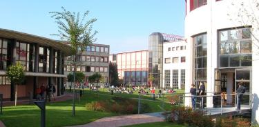La Università degli Studi de Verona.