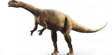 Una recreación del dinosaurios más antiguo de África.