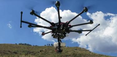 El uso de drones apoya la conservacción.