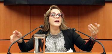 Diputada del PRI, Yolanda de la Torre