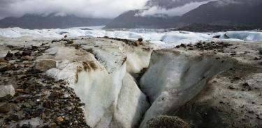 Los científicos también prevén que pesar de que el océano Antártico representa un 15 % de la masa oceánica, su calentamiento producirá alteraciones de la red alimentaria de esa región.