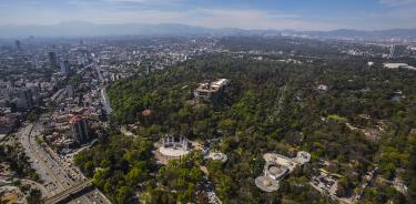 El Bosque de Chapultepec.