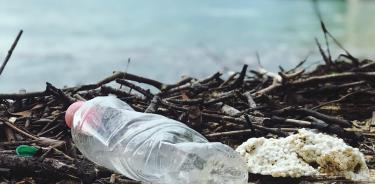 En marzo de este año, la Asamblea de la ONU para el Medio Ambiente acordó negociar un tratado mundial contra la contaminación por plásticos.