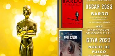 Bardo busca darle el segundo Oscar de su historia y Noche de fuego el cuarto Goya.