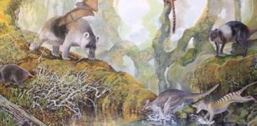 Ejemplos de megafauna extinta de Papúa. Arriba a la derecha el canguro gigante cuadrúpedo.