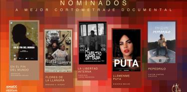 Nominados a Mejor Corto Documental.