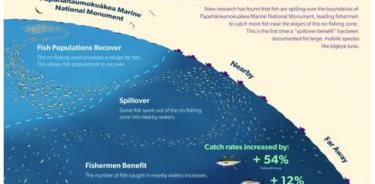 La zona de no pesca más grande del mundo beneficia a los peces y a los pescadores.