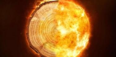 Una imagen compuesta de un anillo de árbol y llamas: los investigadores de la UQ analizaron datos de anillos de árboles para medir eventos cósmicos históricos.