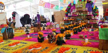 Instalan en Ecatepec mega ofrenda de Día de Muertos con más de 26 mil  plantas de cempasúchil