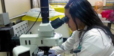 Las mujeres científicas representan el 20 por ciento de la matrícula de investigadores del Cinvestav.