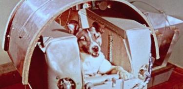 Se cumplen 65 años del primer ser vivo espacial: la perra Laika.

Este 3 de noviembre se cumplen 65 años del lanzamiento, en 1957, del primer ser vivo al espacio, la famosa perra Laika, que el programa espacial soviético recluyó en la nave Suptnik 2.

POLITICA INVESTIGACIÓN Y TECNOLOGÍA
NASA