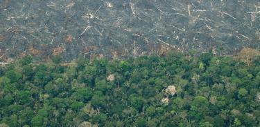 Vista aérea de áreas deforestadas de la selva amazónica de Porto Velho, Rondonia (Brasil), en una fotografía de archivo.