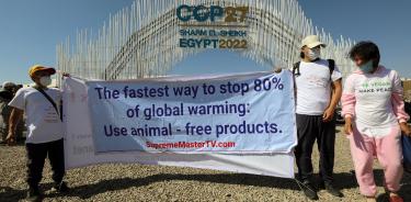 Protestas en Egipto en referencia a los problemas provocados por la industria de carne animal en el mundo.