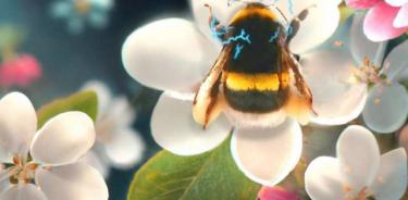 Ilustración de un abejorro interactuando con una flor.