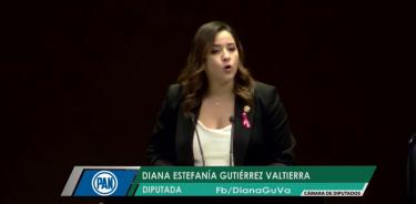 La Diputada Federal por Guanajuato Diana Estefanía Gutiérrez Valtierra, propuso implementar la Campaña Nacional de Salud en favor de la salud mental de niños y jóvenes en México.